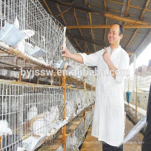 Used Rabbit Cages For Sale